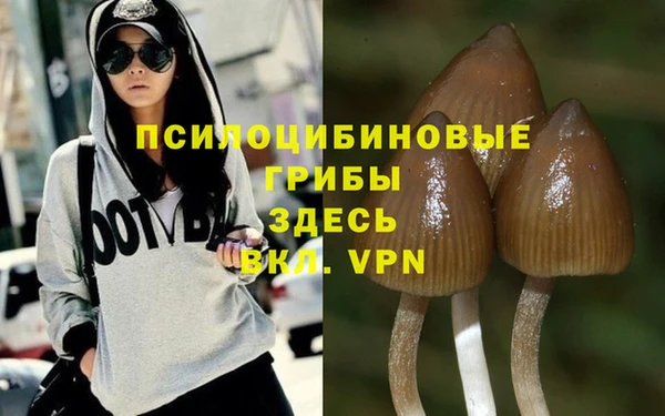 винт Майский