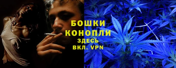 винт Майский