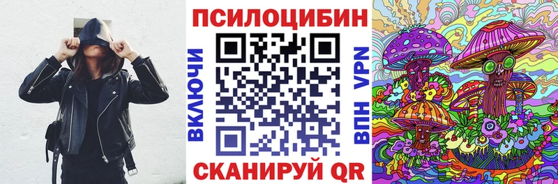 Галлюциногенные грибы Psilocybe  Никольское 