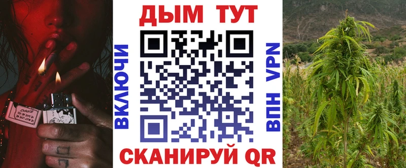Конопля OG Kush  Никольское 